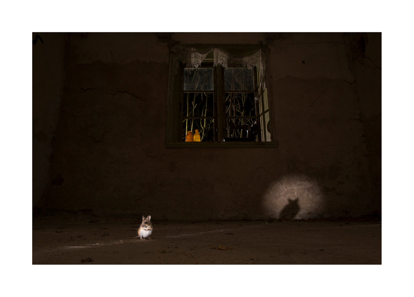 "Home alone" Fine Art Print by Felix Heintzenberg